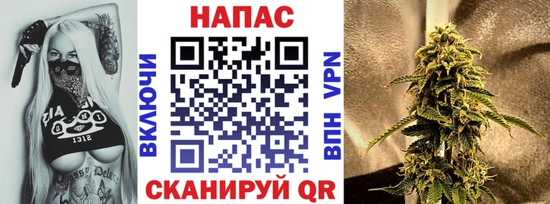Конопля Amnesia  Сураж 